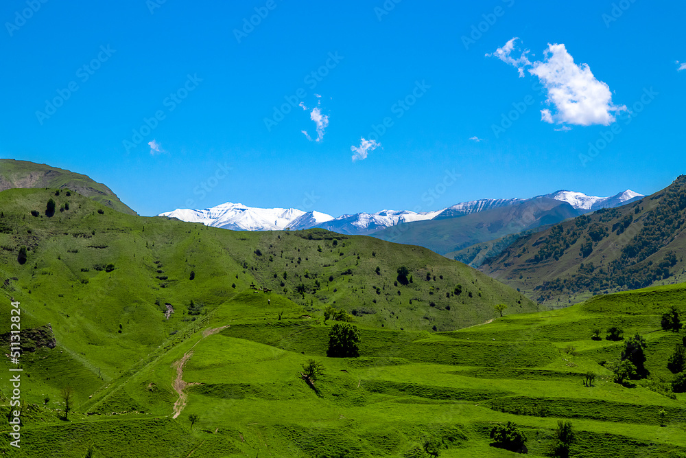 Beautiful sunny day in the mountains. Green fields against the backdrop of snow-capped peaks. Landscape photo of Dagestan Russia.