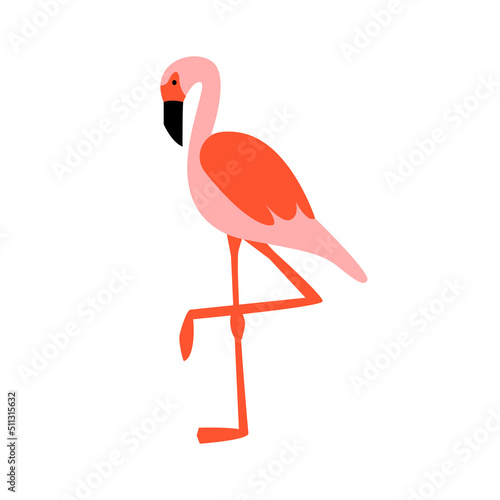 Cute pink flamingo on isolated background. Vector exotic summer illustration on isolated background. 