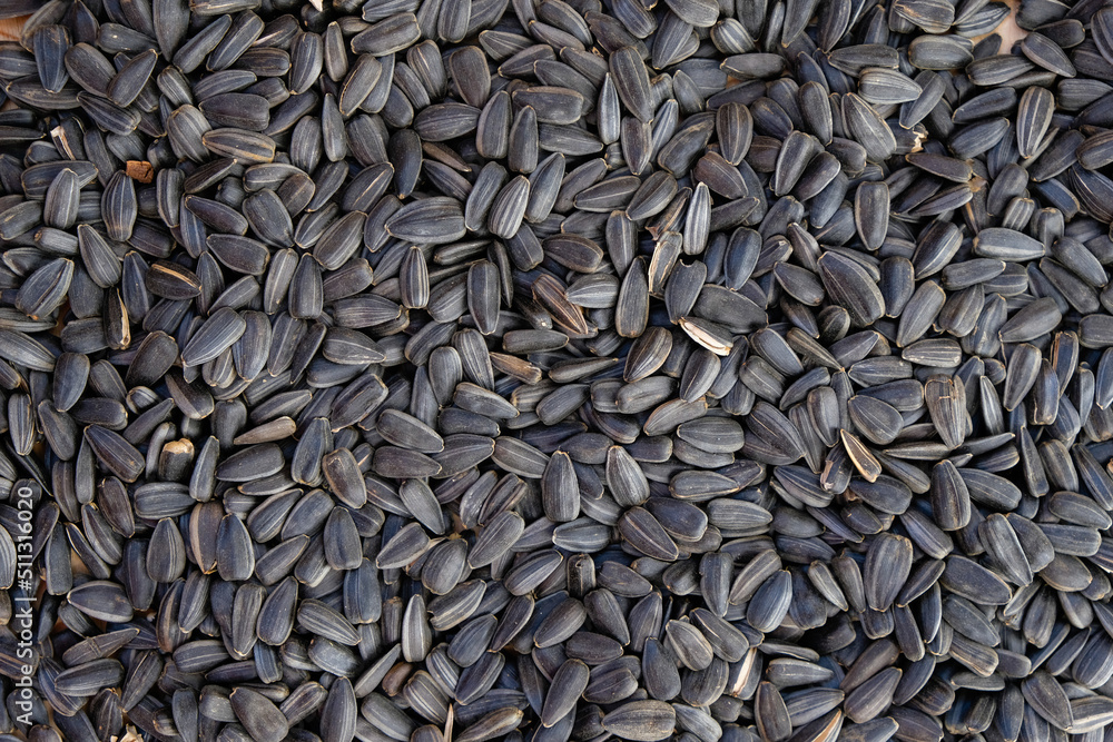Sunflower seeds background. Sunflower oil raw material. Top view. Sunflower seeds background. Sunflower oil raw material. Top view.