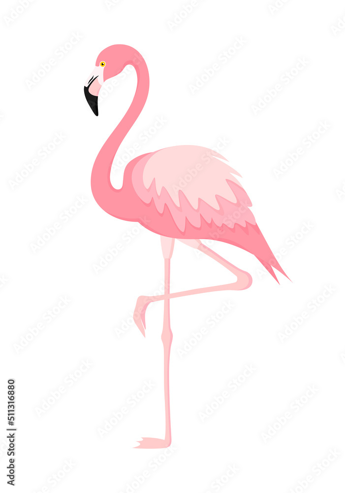 Pink flamingo isolated on a white background. Vector illustration in flat style