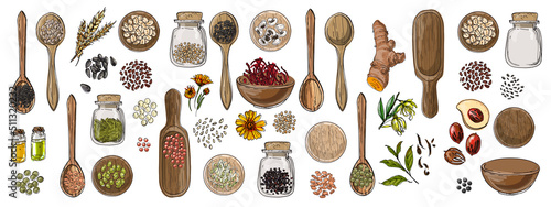Food vector Beans, spices, medicine, peas