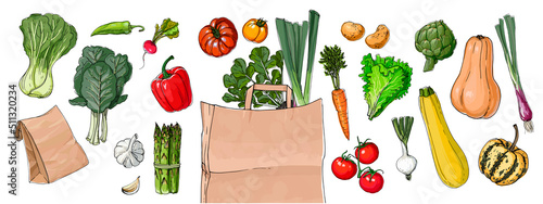 Food vector delivery of vegetables and herbs. Pumpkin, onion, herbs, tomatoes, pak choi