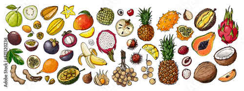 Fototapeta Naklejka Na Ścianę i Meble -  Food vector Exotic fruits, orange, lemon, apple, berries
