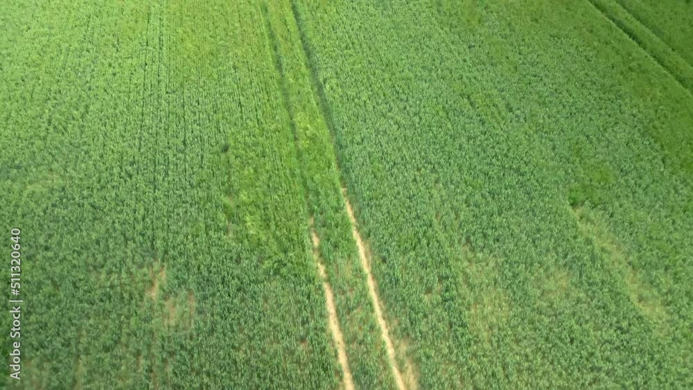 aerial birds eye view green wheat crop fields on rural agricultural land aerial birds eye view green wheat crop fields on rural agricultural land