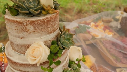 Slow downward pan of bohemian wedding cake in a forest photo