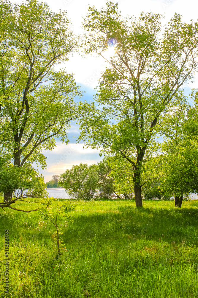 Fototapeta premium North German river nature landscape panorama Germany.