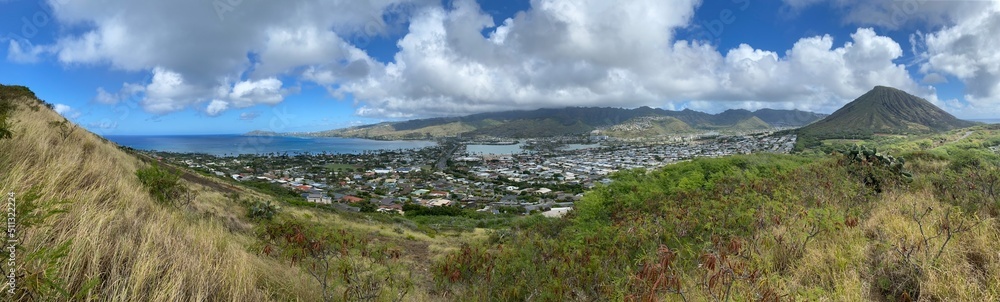 Panoramas of the Banyan trees and shorelines of Oahu