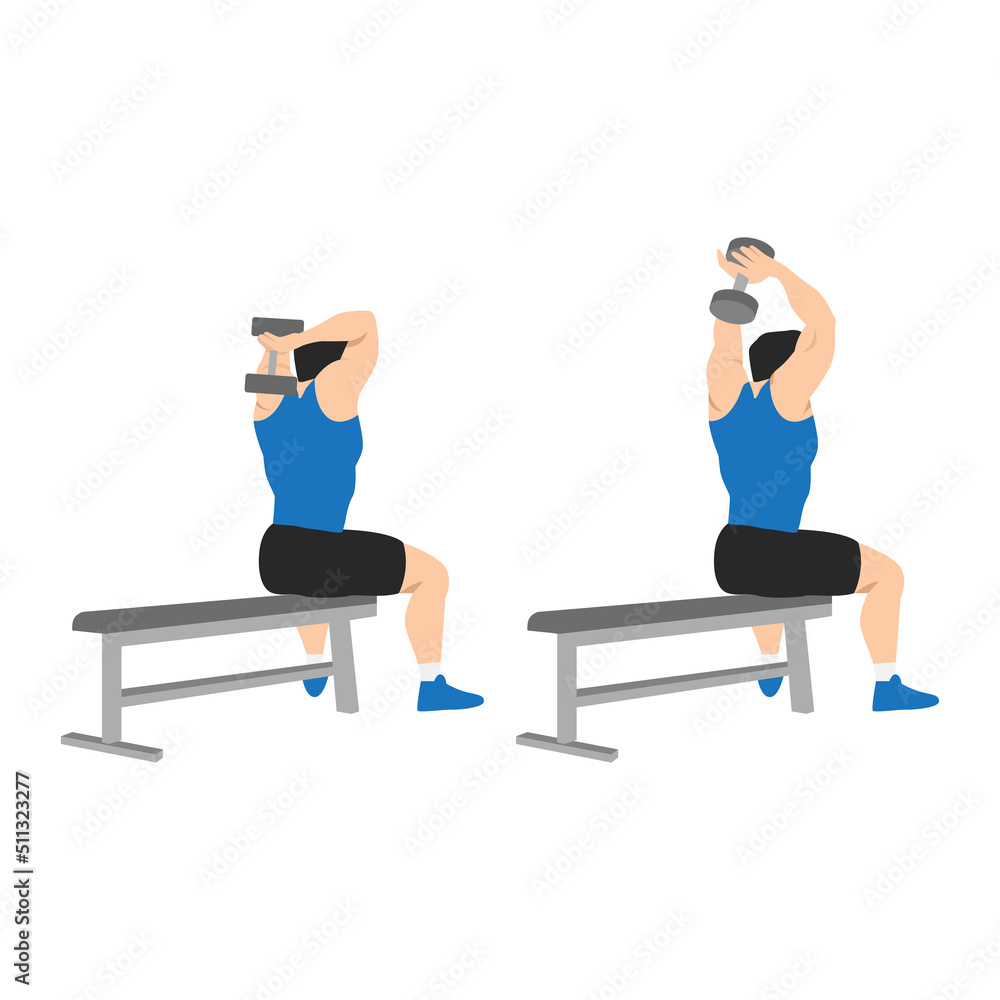 Man doing Dumbbell overhead triceps extension exercise. Flat vector illustration isolated on white background Stock Vector Adobe Stock