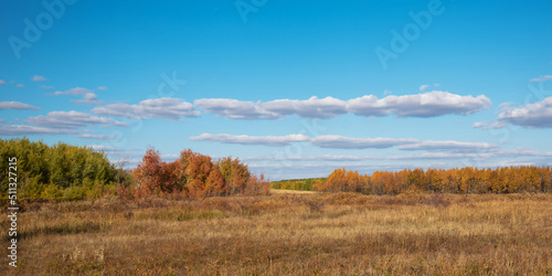 Late autumn and early winter period. Outdoor and nature. Bright autumn landscape with blue sky, yellow grass and trees.