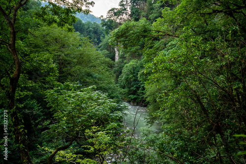 Mountain river flowing through the green forest. © eskstock