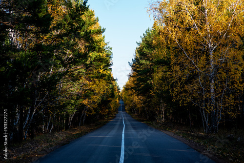 Autumn country road through colorful trees. Rustic  vintage  ambient. The road in the forest. An asphalt long country road with white lines in the center  stretching far beyond the horizon.