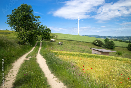 Wanderweg Extertal Weserbergland Sommer photo