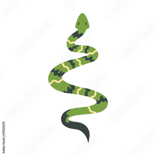 green snake animal wild