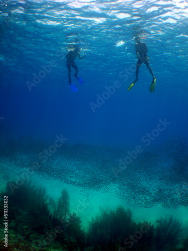 free diving and snorkeling in the caribbean sea, Venezuela © gustavo