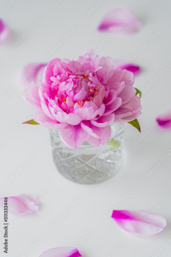 close up view of peony with pink petals in faceted glass on white and blurred background.