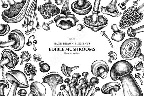 Design with black and white oyster mushroom, champignon, honey agaric, etc.