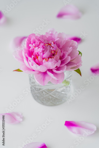 close up view of peony with pink petals in faceted glass on white and blurred background.