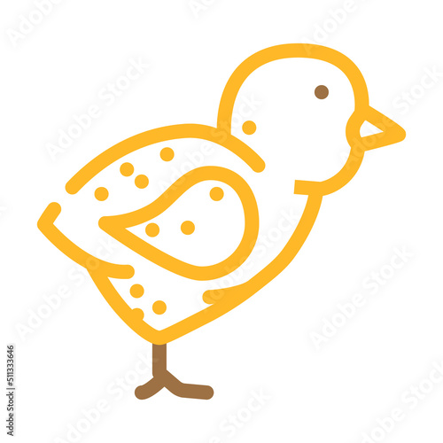 chick little chicken color icon vector. chick little chicken sign. isolated symbol illustration