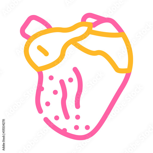 broiler chicken heart color icon vector. broiler chicken heart sign. isolated symbol illustration