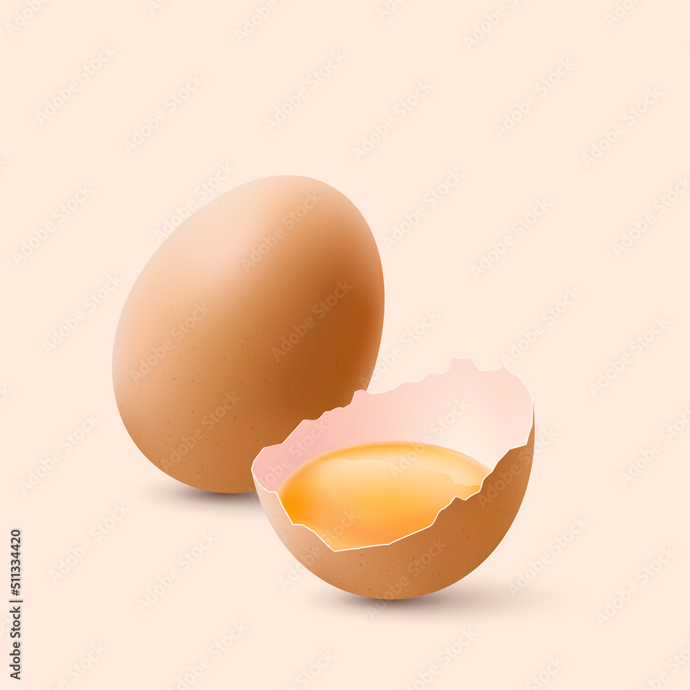 Fresh Organic Chicken Brown Eggs. The Egg is Half Broken in the Shell and a Whole Large Brown Egg. Fresh Organic Chicken Brown Eggs. The Egg is Half Broken in the Shell and a Whole Large Brown Egg.