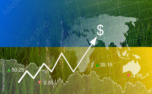 Rice fields with graphs in the global economic crisis concept. Global food crises. stocks. wars. epidemics. inflation and high food prices. photo