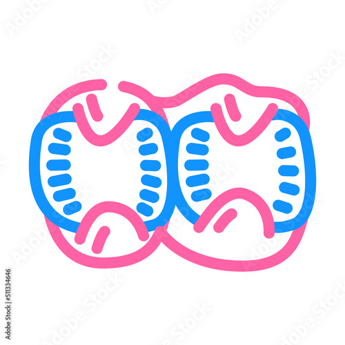 broiler stomachs color icon vector. broiler stomachs sign. isolated symbol illustration