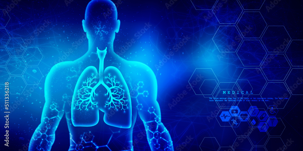 2d illustration Healthy Human Lungs
2d illustration Healthy Human Lungs