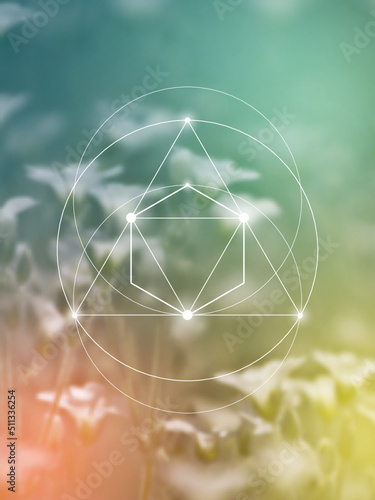 Sacred geometry inspired vector illustration with interlocking circles and triangles.