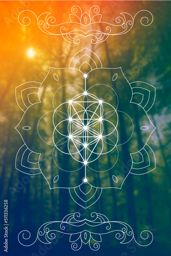 Flower of Life and Tree of Life Sacred Geometry zentangle inspired design template with oriental tribal ornaments. Ornamental new age art.Meditation symbol in front of blurry nature background.