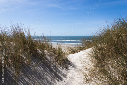 Fototapeta Naklejka Na Ścianę i Meble -  dunes in the beach