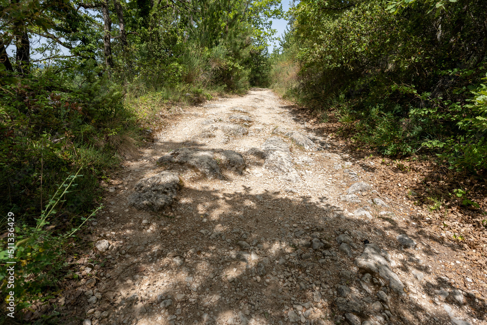 Fototapeta premium chemin de randonnée autour de l'abbaye d'Aiguebelle