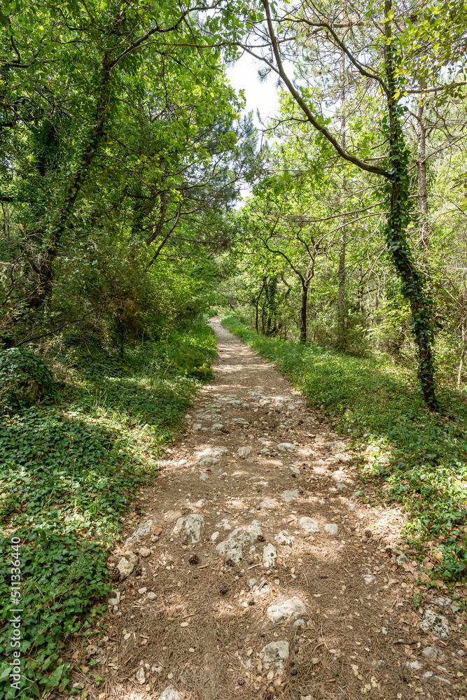 Obraz premium chemin de randonnée autour de l'abbaye d'Aiguebelle