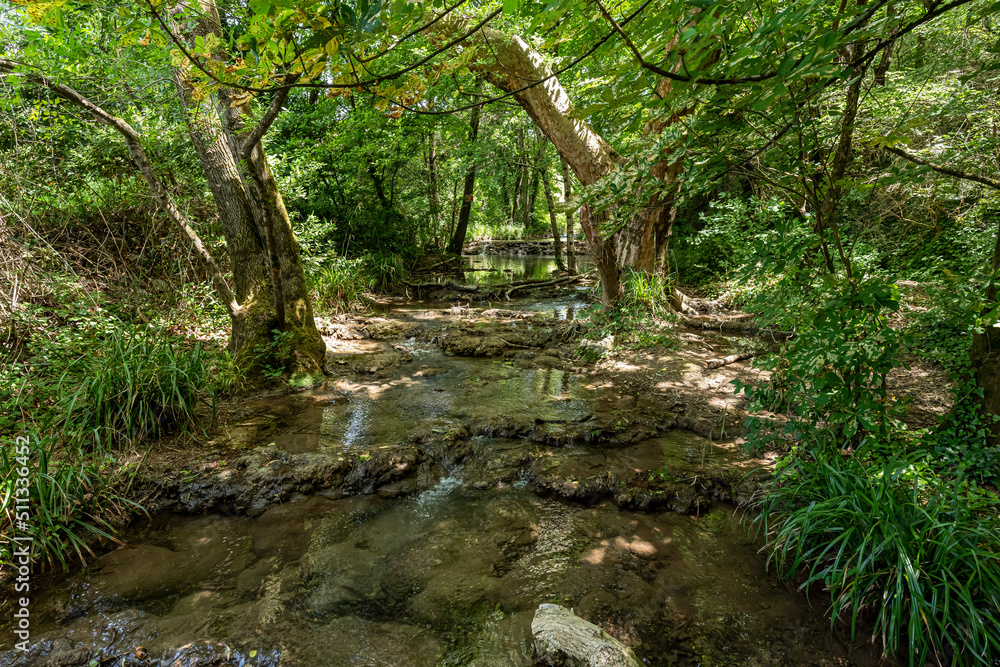 Obraz premium chemin de randonnée autour de l'abbaye d'Aiguebelle