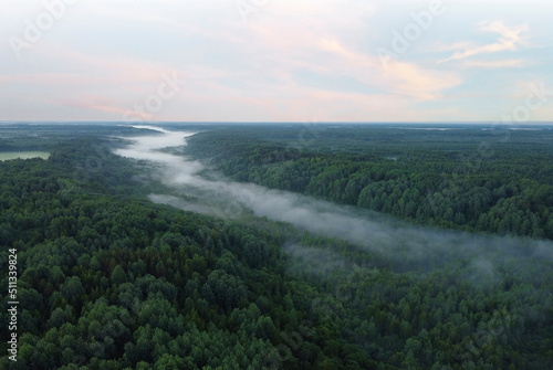 Beautiful landscape forest river shrouded in mist at sunrise. Mysterious fantasy forest. Natural composition