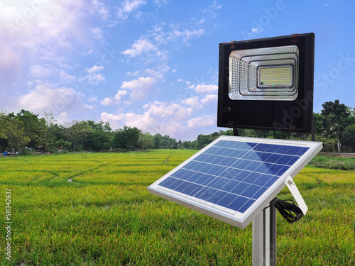 A photovoltaic spotlight uses solar energy in the middle of a rice field. pure energy concept