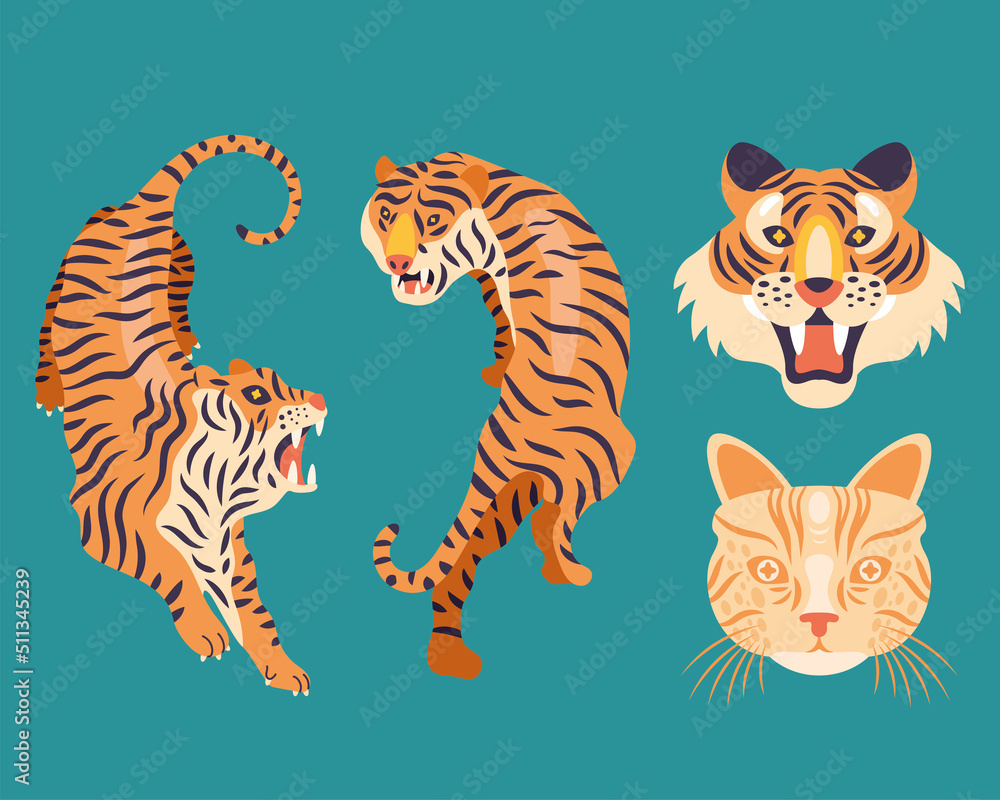 four wild felines animals