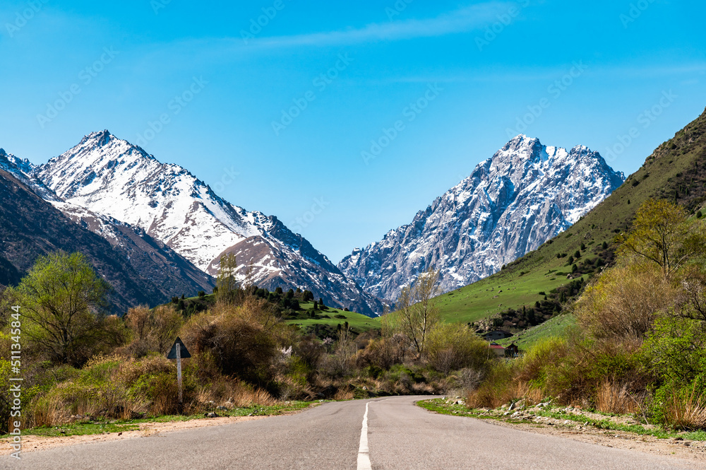 Fototapeta premium Road in a mountain gorge. Sunny day in the mountains.