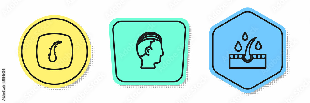 Set line Human hair follicle, Hairstyle for men and Oil care treatment. Colored shapes. Vector