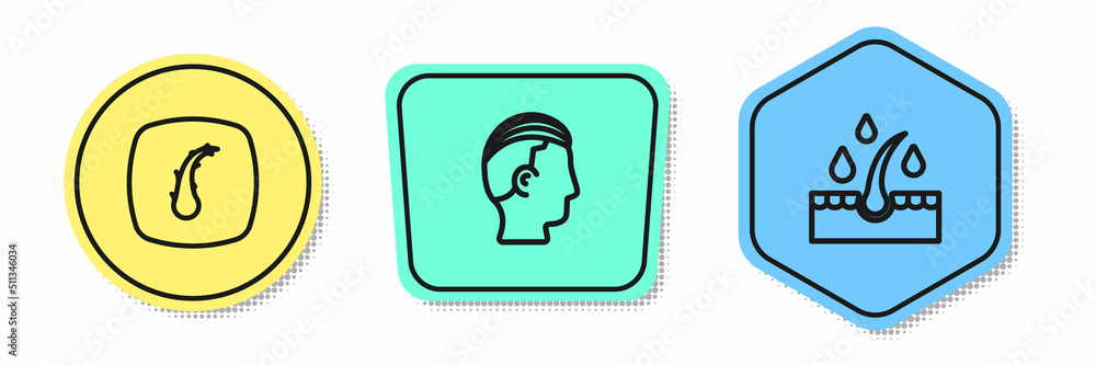 Set line Human hair follicle, Hairstyle for men and Oil care treatment. Colored shapes. Vector Set line Human hair follicle, Hairstyle for men and Oil care treatment. Colored shapes. Vector