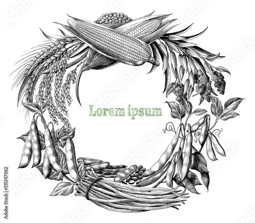 Frame of multigrain hand draw vintage engraving style