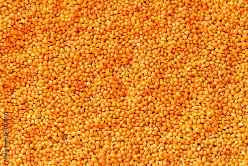 Millet or sorghum seed background, food for birds