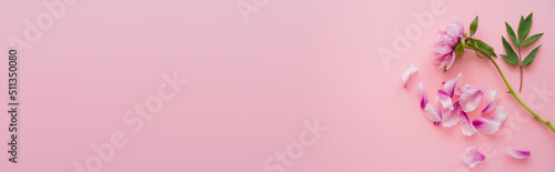 top view of floral petals near fresh peony on pink background  banner.