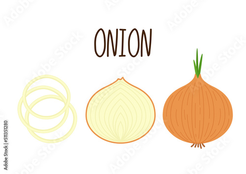 Cartoon brown or yellow onions set. Whole unpeeled, half, onion rings and slices.