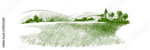 Vector sketch Green grass field on small hills. Meadow, alkali, lye, grassland, pommel, lea, pasturage, farm. Rural scenery landscape panorama of countryside pastures. illustration