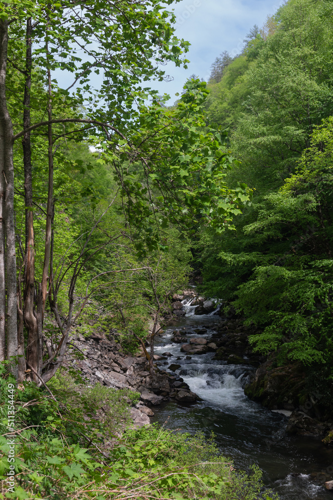One of many beautiful waterfalls cascading on the Nantahala River in Western North Carolina. One of many beautiful waterfalls cascading on the Nantahala River in Western North Carolina.