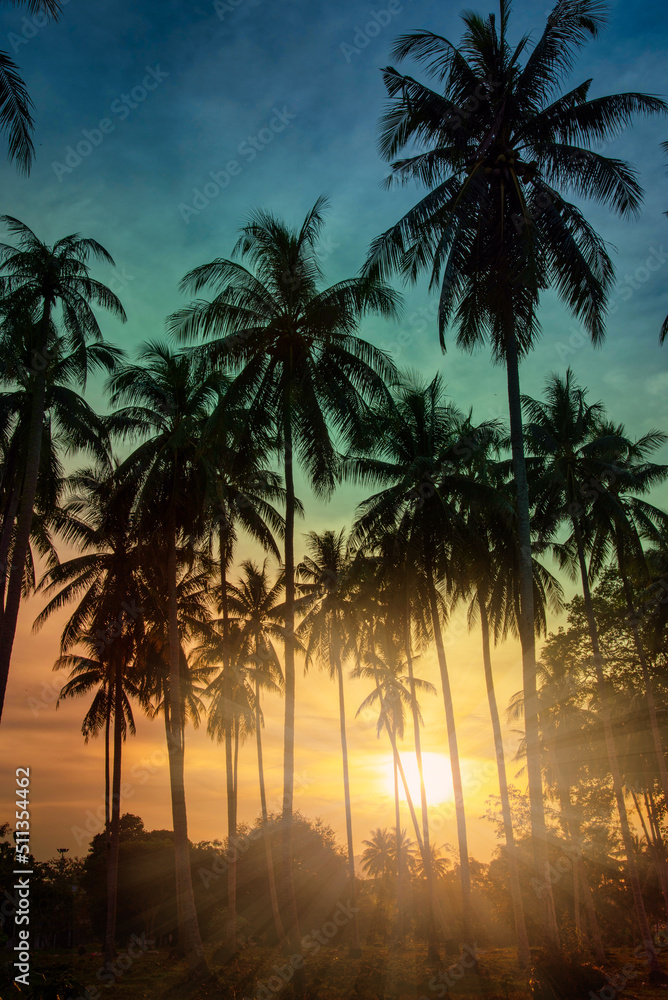 Obraz premium Silhouette coconut palm trees on beach at sunset. Vintage tone.
