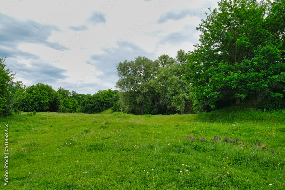 Summer landscape, grass and blue sky, landscape with trees and blue sky Summer landscape, grass and blue sky, landscape with trees and blue sky