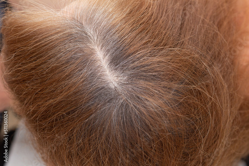 Papier peint Top view of regrowth root with grey hair on colored reddish colour