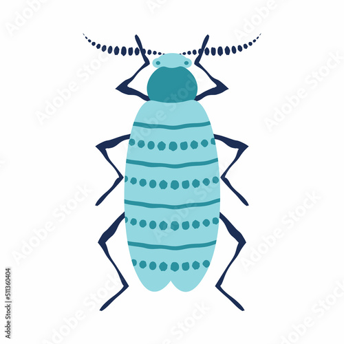 A beetle on an isolated background