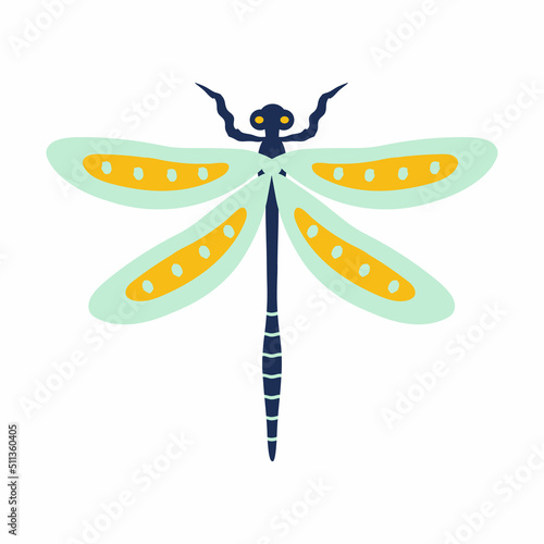 Dragonfly on isolated background